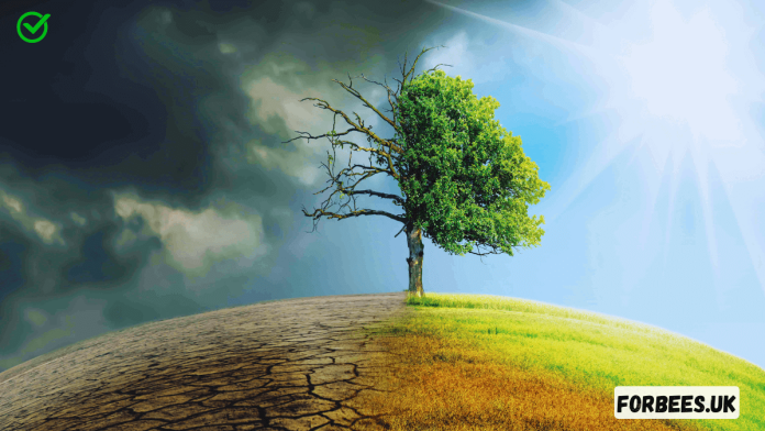 Climate Change and Sustainability